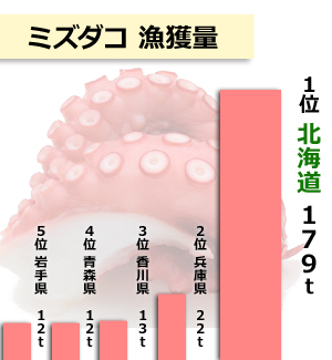 北海道産水ダコ